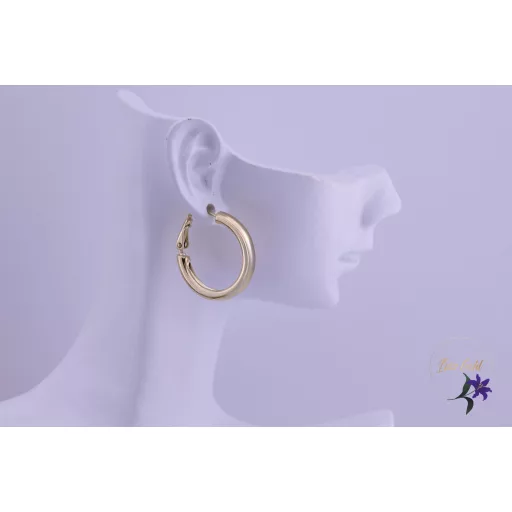 Betti goldfilled klasszikus kiskarika fülbevaló-14K 