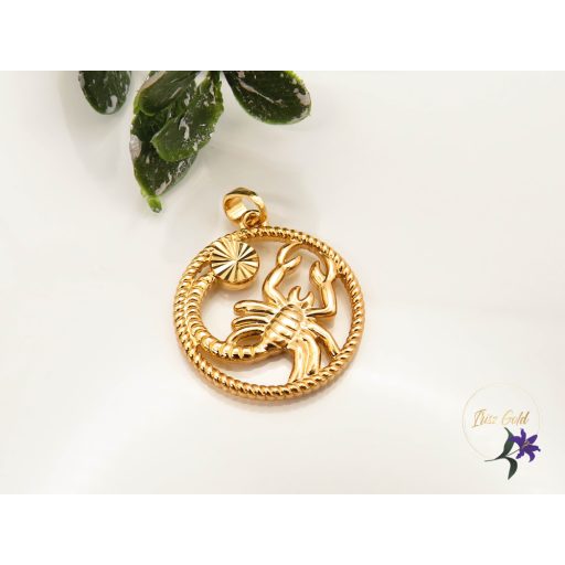 Antiallergén 12 csillagjegy medál -18K 