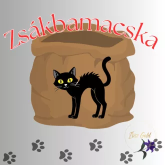   Zsákbamacska tartalma 2 db -os medálos nyaklánc 18K  ( Pirosköves , baba talpacskád )